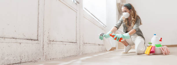 Why You Should Choose Our Mold Remediation Services in Norwood, OK